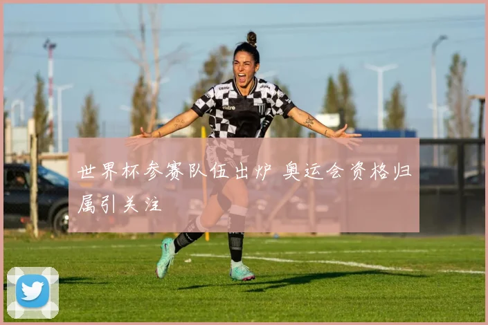 世界杯参赛队伍出炉 奥运会资格归属引关注